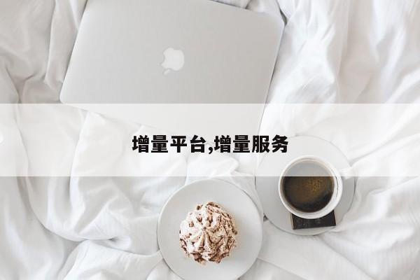 增量平台,增量服务